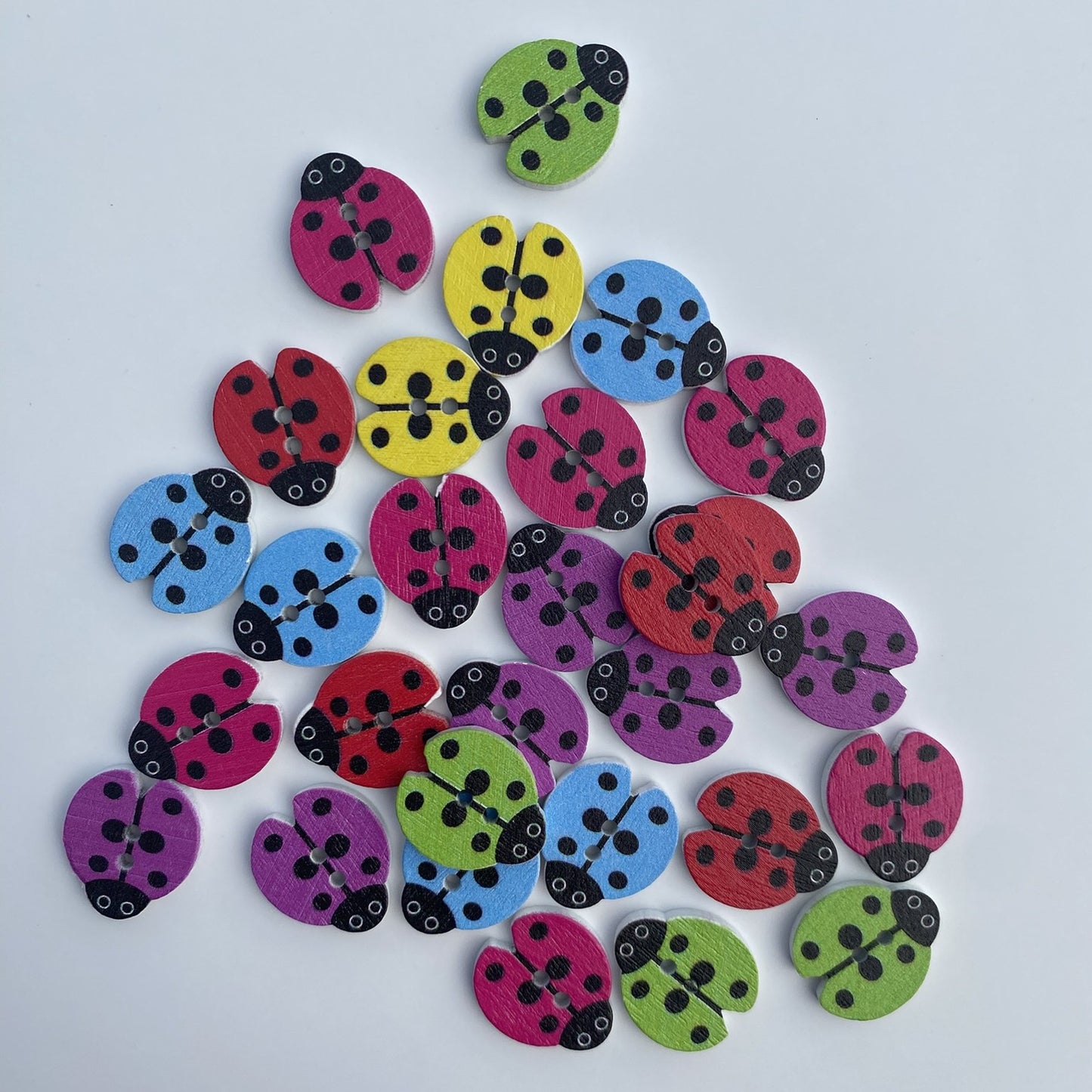 Ladybirds - pack of 25