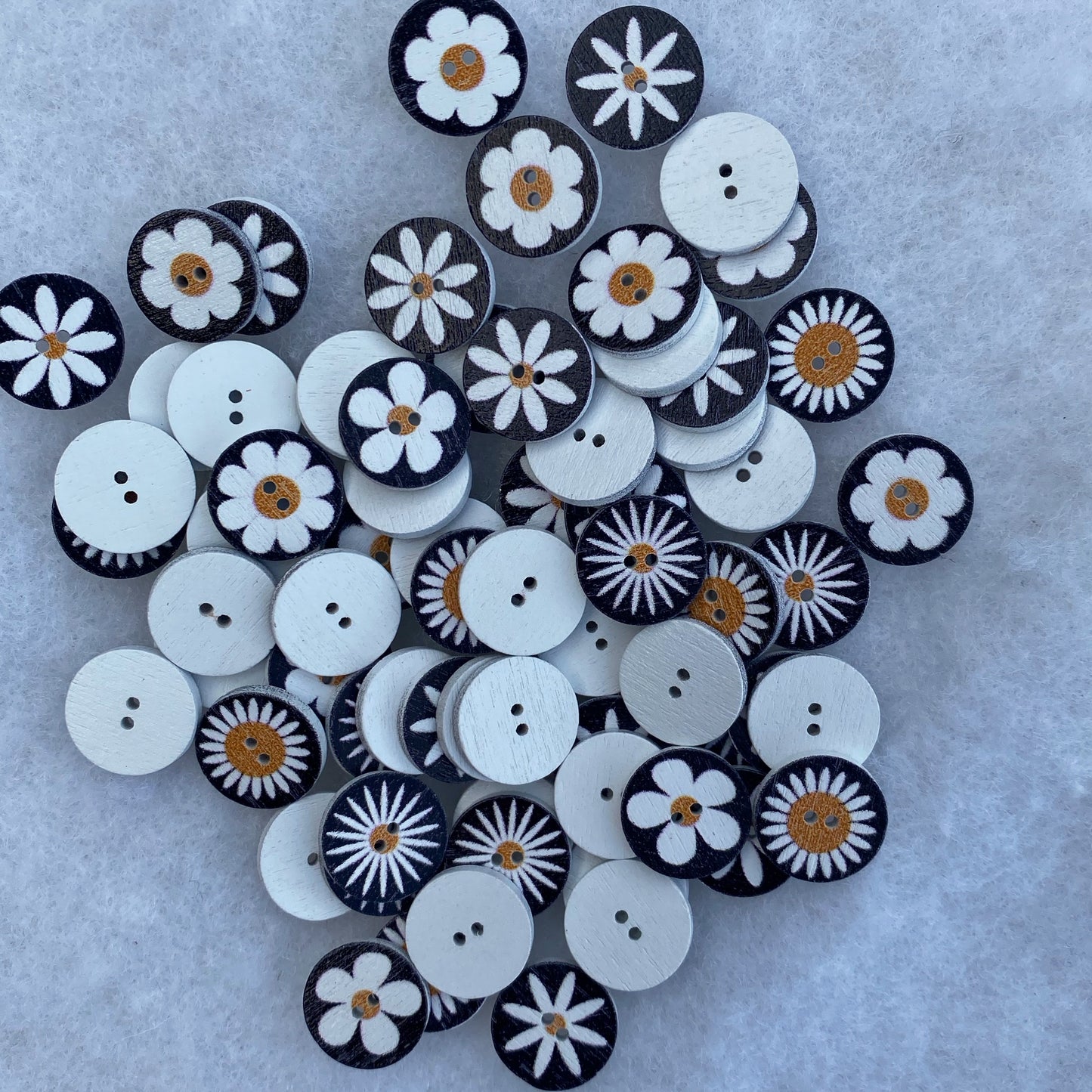 Black daisies - pack of 25